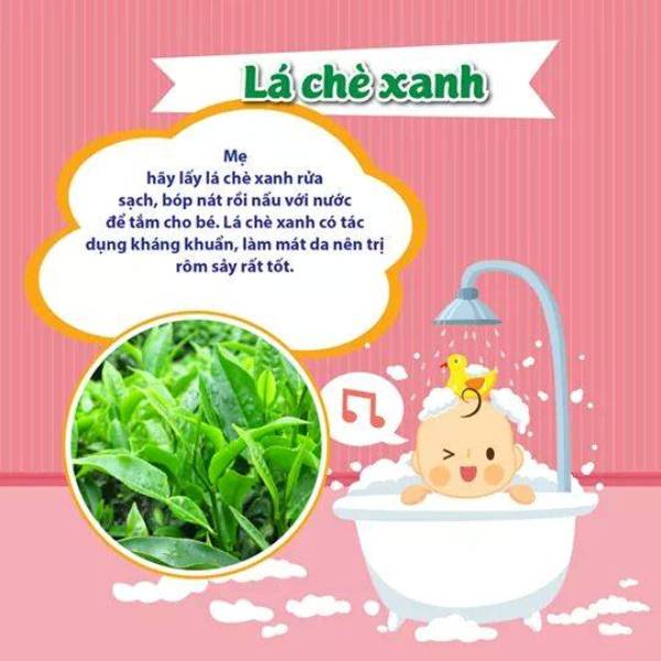 Có nên tắm cho trẻ sơ sinh bằng lá chè xanh khi bị rôm sảy