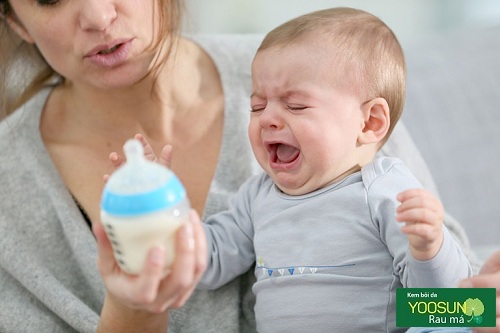 Sữa cho trẻ dị ứng lactose