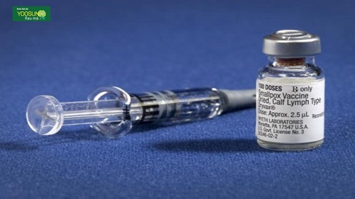 vaccine đậu mùa
