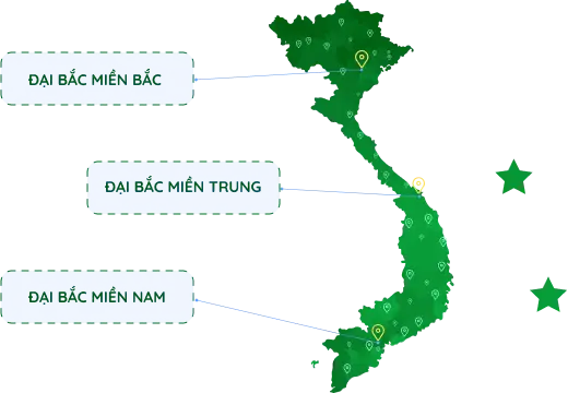 Map địa chỉ của nhãn hàng yoosun rau má tại Việt Nam