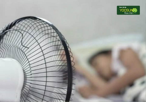 Bị thủy đậu kiêng gió không? Thủy đậu gặp gió có nguy hiểm không?