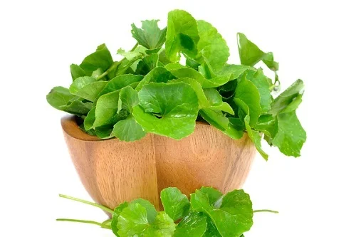 Dị ứng phấn hoa phải làm sao