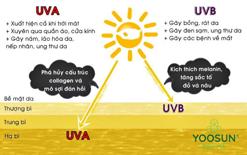 Cách trị cháy nắng mặt