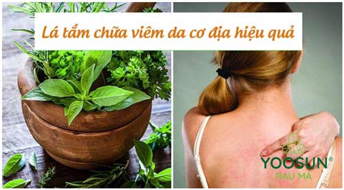 Bệnh viêm da cơ địa tắm lá gì cho khỏi