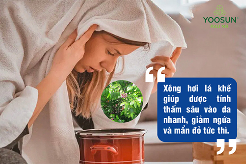 Dùng lá khế chữa viêm da cơ địa