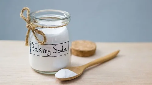 Cách làm giảm sưng khi bị ong đốt