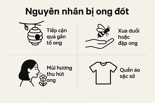 Khi bị ong chích thì phải làm sao