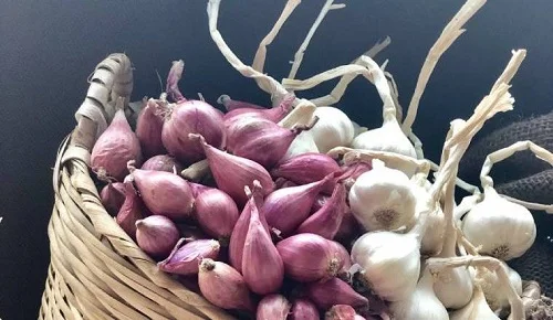 Ong đốt bị sưng phải làm sao
