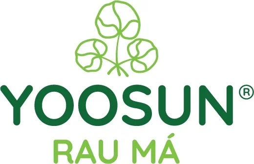 Xem logo kem bôi da Yoosun Rau má