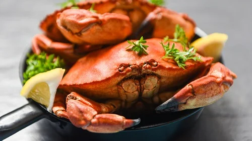 Nên làm gì khi bị dị ứng tôm