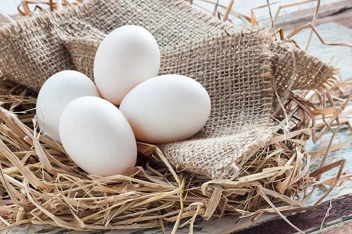 Bị dị ứng thịt gà phải làm sao 