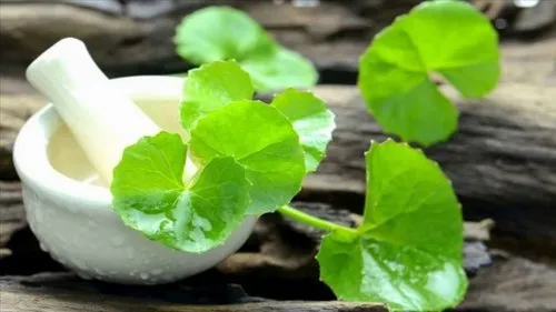 Cách trị dị ứng bột ngọt