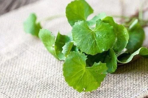 Dị ứng sữa tươi ở trẻ