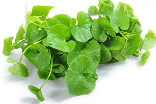 Ăn cá hồi bị dị ứng nên làm gì