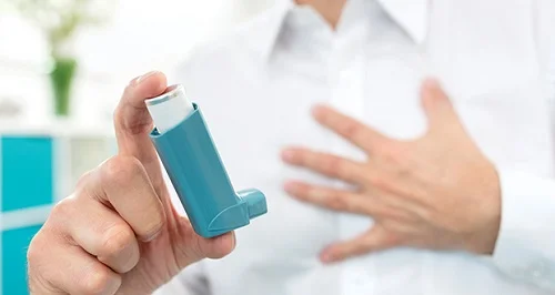 Bị dị ứng lông mèo triệu chứng