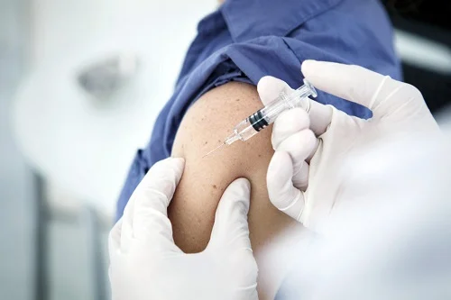 Bị dị ứng với lông mèo
