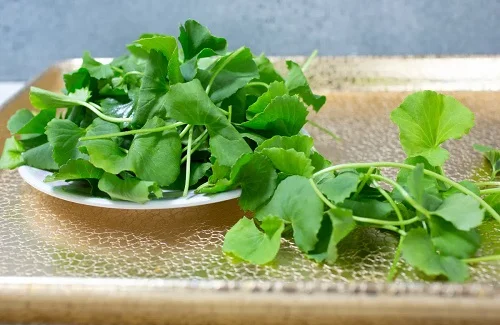 Cách chữa dị ứng kem tẩy lông