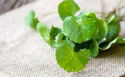 Nên làm gì khi bị dị ứng sữa rửa mặt