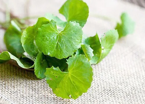 Cách chữa dị ứng sữa công thức