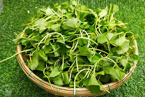 Dị ứng ngứa không