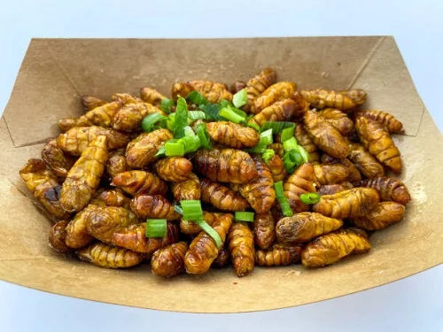 mẹo chữa dị ứng nhộng tằm