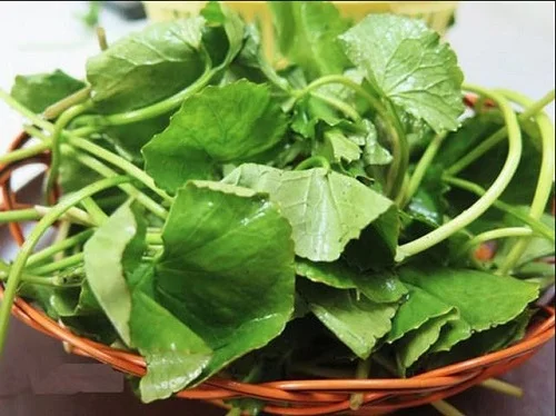 Bị dị ứng kem đánh răng phải làm sao
