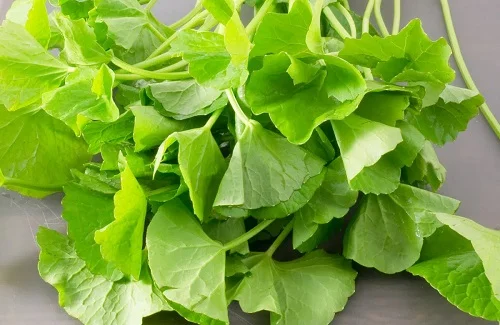 Cách chữa dị ứng bỉm ở trẻ sơ sinh