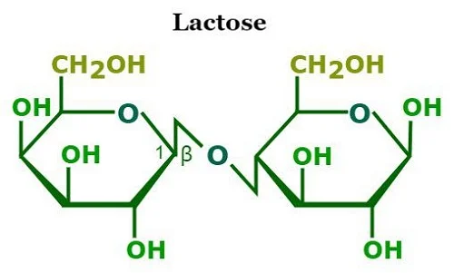 Người bị dị ứng lactose là gì Bị dị ứng lactose là gì