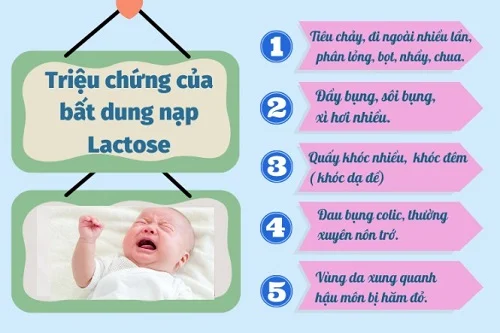 Những biểu hiện dị ứng lactose là gì Biểu hiện dị ứng lactose là gì