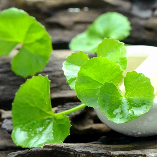 Da dị ứng đắp mặt nạ gì nhanh khỏi? da dị ứng đắp mặt nạ gì