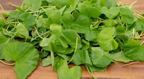 Dị ứng xi măng và cách chữa