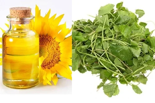 Hướng dẫn dùng dầu dừa massage cho bé sơ sinh Dầu dừa massage cho bé sơ sinh