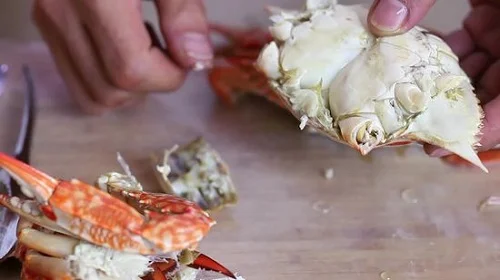 Dị ứng cua thì nên làm gì là tốt nhất? Dị ứng cua thì nên làm gì