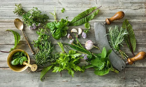 Lưu ý khi sử dụng cách tắm cho bé chưa rụng rốn Cách tắm cho bé chưa rụng rốn