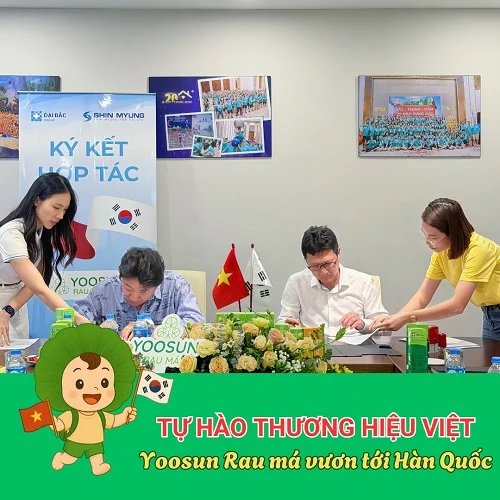 Bộ sản phẩm Yoosun Rau má được xuất khẩu sang hàn quốc Yoosun Rau má được xuất khẩu sang hàn quốc