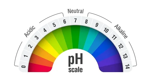 Bị dị ứng dung dịch vệ sinh nên làm gì Bị dị ứng dung dịch vệ sinh