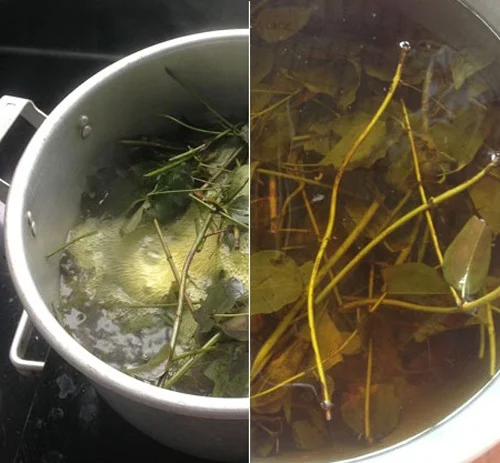 Cách tắm lá đào cho trẻ sơ sinh hiệu quả nhất Cách tắm lá đào cho trẻ sơ sinh