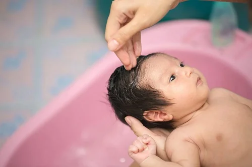 Lá húng chanh có tắm được cho bé không? Giải đáp Lá húng chanh có tắm được cho bé không