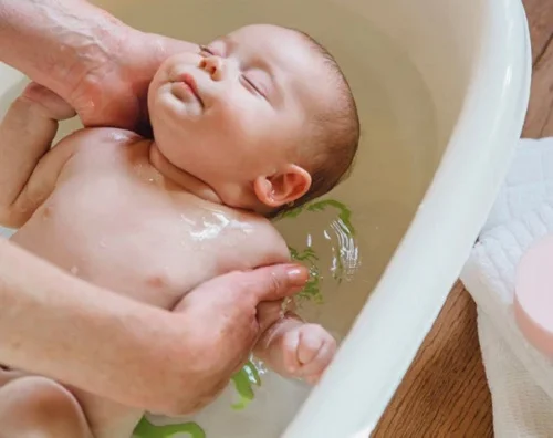 Trẻ sơ sinh tắm lá kim ngân được không? Giải đáp trẻ sơ sinh tắm lá kim ngân được không