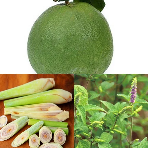 Cách tắm vỏ bưởi cho bé hiệu quả nhất Cách tắm vỏ bưởi cho bé