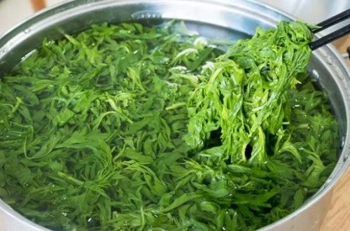 Hướng dẫn tắm lá ngải cứu cho trẻ sơ sinh tắm lá ngải cứu cho trẻ sơ sinh