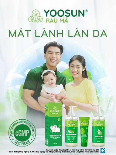 Banner bộ sản phẩm nhà yoosun rau má mobile