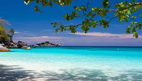 Dị ứng nước biển là gì