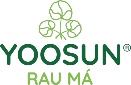 Sản phẩm kem bôi Yoosun Rau má của nhà Đại Bắc