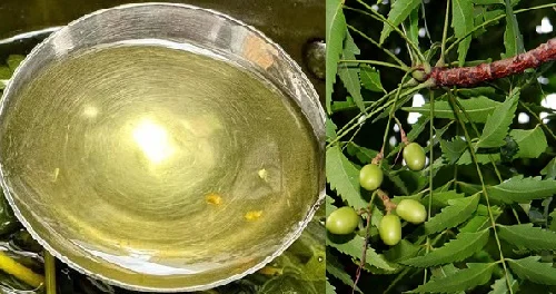 Cách nấu nước tắm lá xoan trị ghẻ, giảm rôm sảy và lưu ý