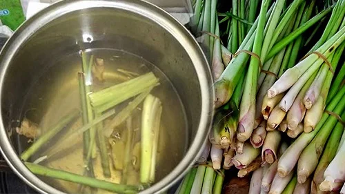 Tắm nước lá sả có công dụng gì