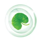 Thành phần son dưỡng mỗi Yoosun Rau má gồm những gì