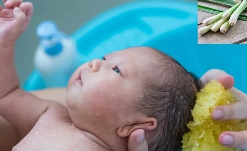 Tắm lá sả: Công dụng, cách nấu nước và chú ý khi dùng