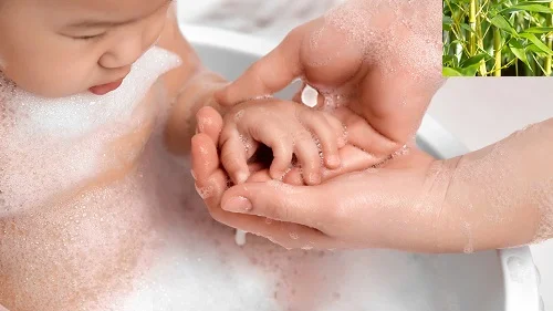 Tắm nước lá tre có tác dụng gì? Cách dùng đúng nhất