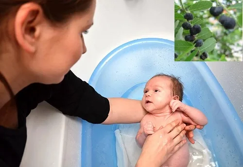 Hướng dẫn cách tắm cây phèn đen và lưu ý khi dùng